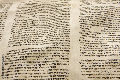 Torah Scroll Parchment