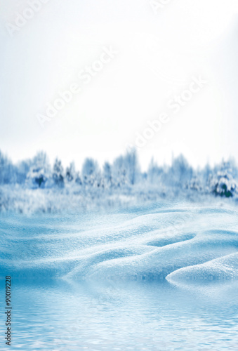 Winter Forest. Winter landscape. © alenalihacheva
