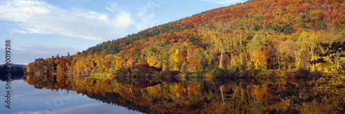 Autumn colors along Connecticut River, Brattleboro, Vermont photo
