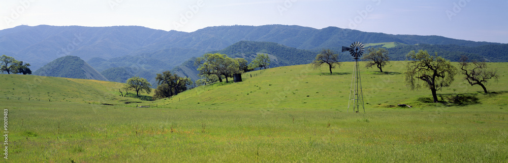 Windmill and oak trees in spring along Route 154, Santa Ynez, California