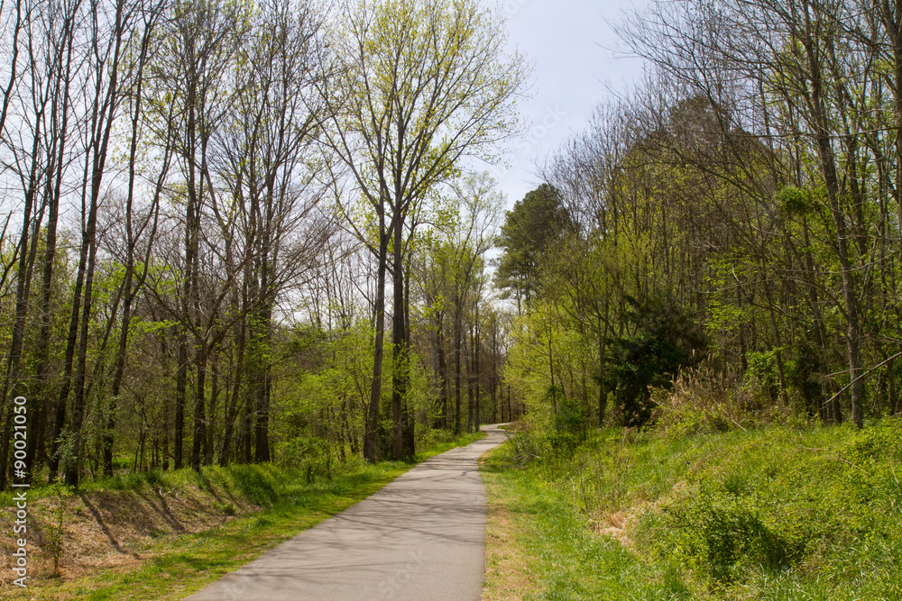 Obraz premium A hiking trail through a wooded natural area. 