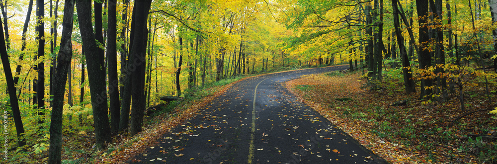 Fototapeta premium This is the Greylock State Reservation in autumn. There is a road that winds through the forest up to the right of the image.
