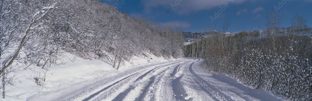 This is the Last Dollar Road after a heavy snow. It is near the Dallas Divide in the San Juan Mountains. There is snow in the trees and the road has not been plowed yet as there are tire tracks in the snow.