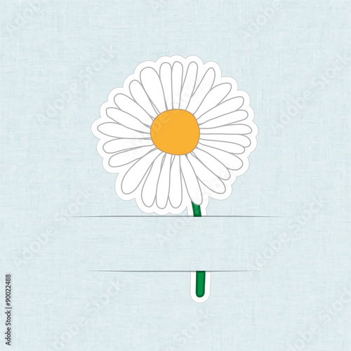 Fototapeta Naklejka Na Ścianę i Meble -  Flower Card Daisy