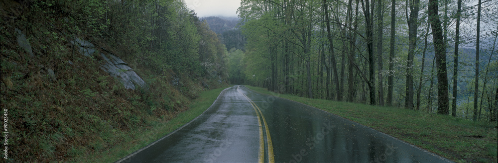 This is a rain soaked road showing bad weather. It is called the Foothill Parkway and is surrounded by green trees. It heads off into a curve toward the right.