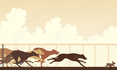 Greyhound dog race