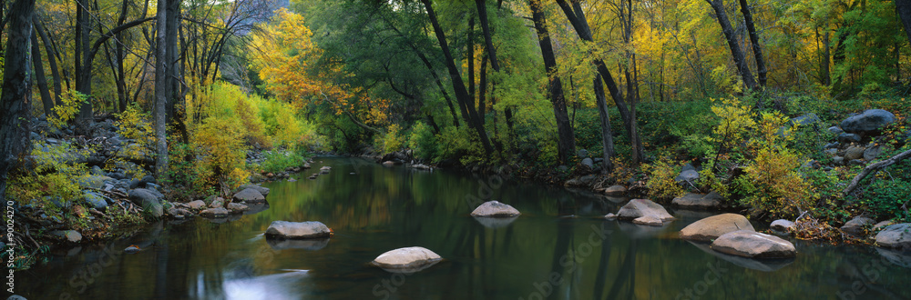 This is Cottonwood Canyon in the autumn. There is a stream flowing through the canyon. - obrazy, fototapety, plakaty 