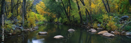 This is Cottonwood Canyon in the autumn. There is a stream flowing through the canyon. photo