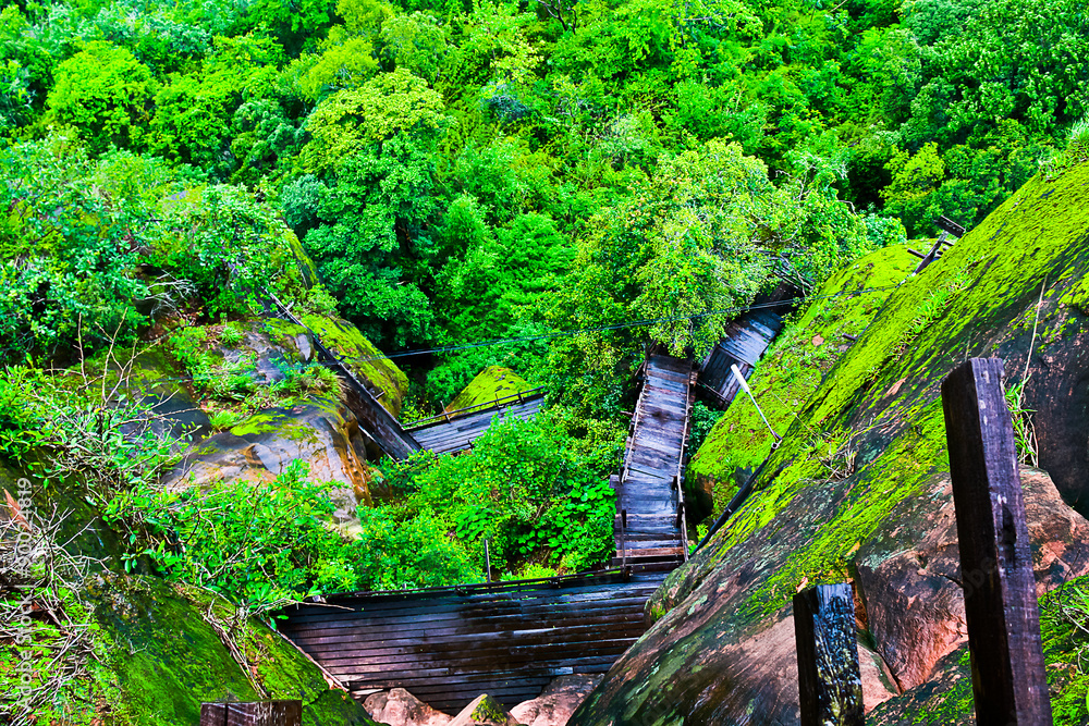 walkway made by wooden near cliff at phutok, Thailand walkway made by wooden near cliff at phutok, Thailand