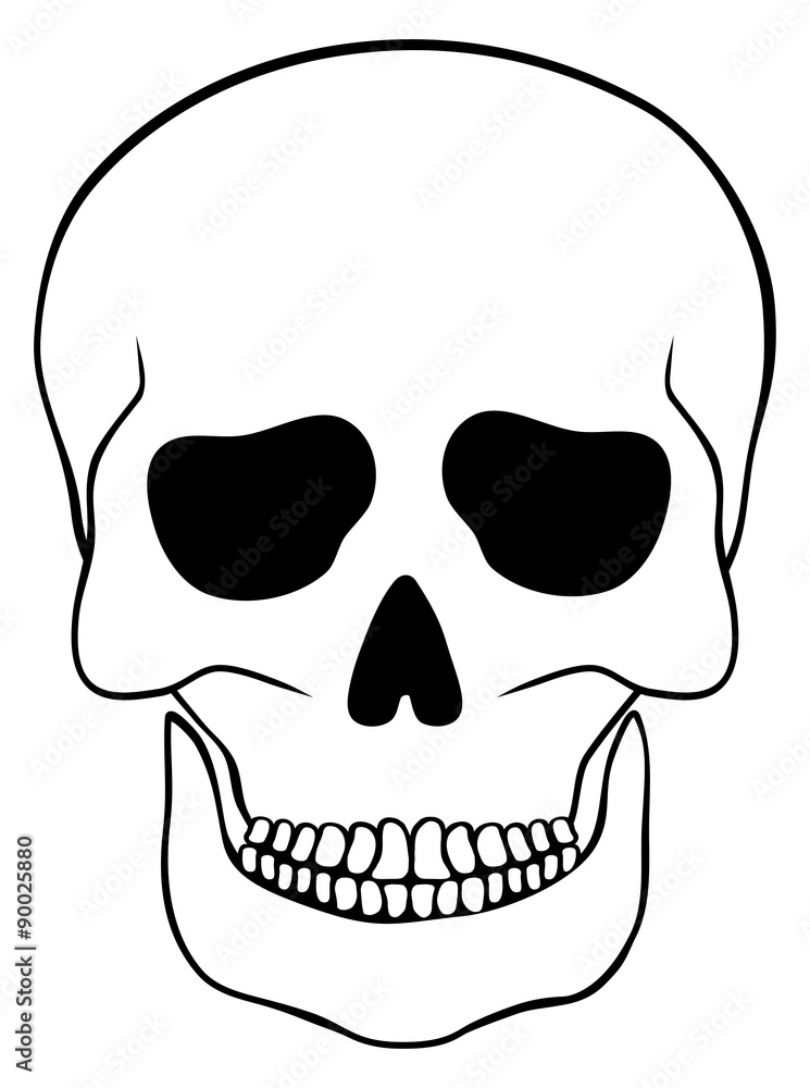 Abstract skull isolated on white Abstract skull isolated on white