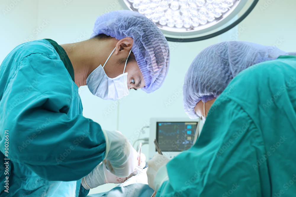 two veterinarian surgeons in operating room two veterinarian surgeons in operating room