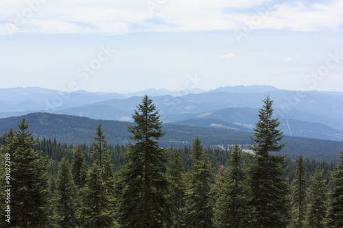 Valley view on Mt Shasta