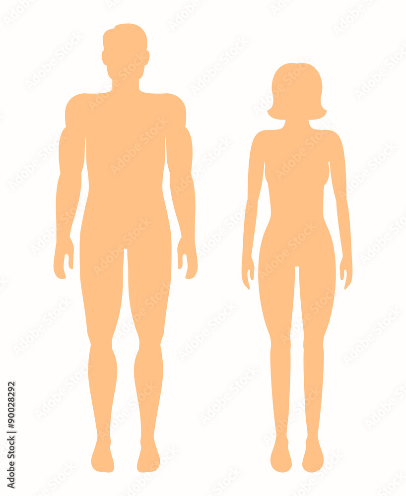 Human silhouettes. Vector man and woman Human silhouettes. Vector man and woman