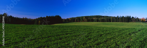 This is a green field on Darling Hill Road. There are fall leaves on the distant trees with a clear blue sky.