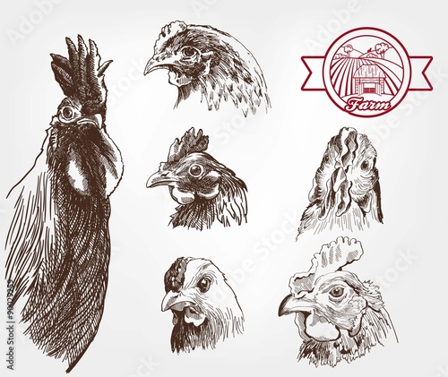 poultry breeding