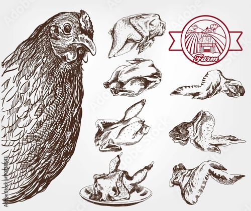 poultry breeding