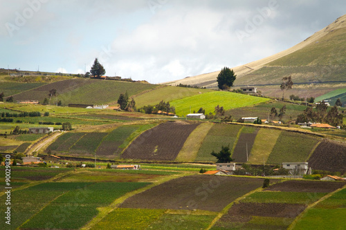 Beautiful crop field plantations in Oyacachi, Ecuador