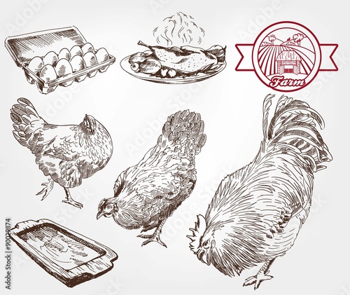 poultry breeding