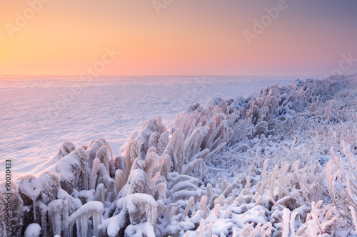 Sunrise over a frozen lake in The Netherlands photo