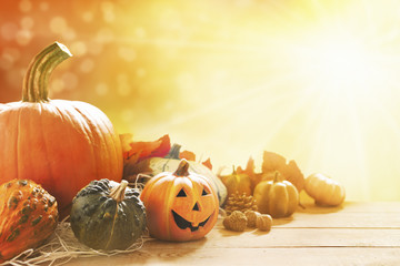 Autumn still life in bright sunlight