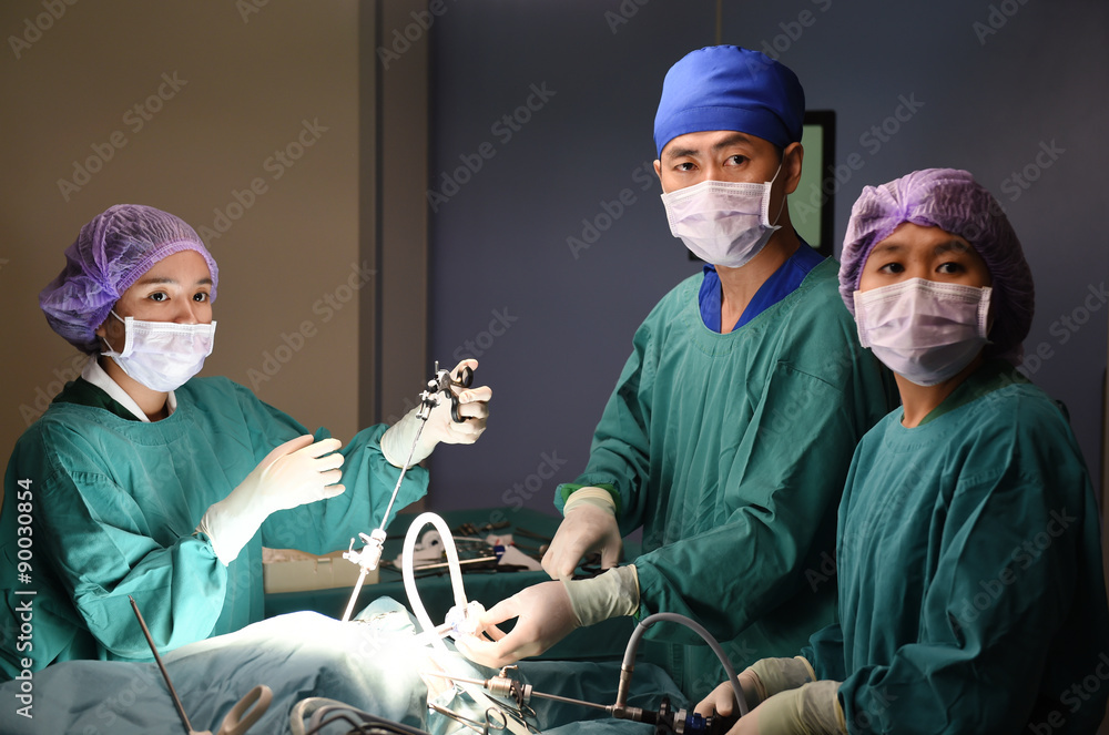 © nimon_t - group of veterinarian surgery in operation room
