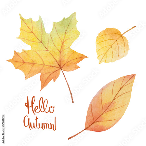 Watercolor autumn leaves