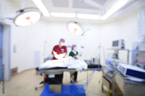 two veterinarian surgeons in operating room