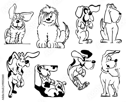 chiens 6
