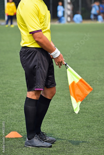 Referee with a flag on the soccer match © majorosl66
