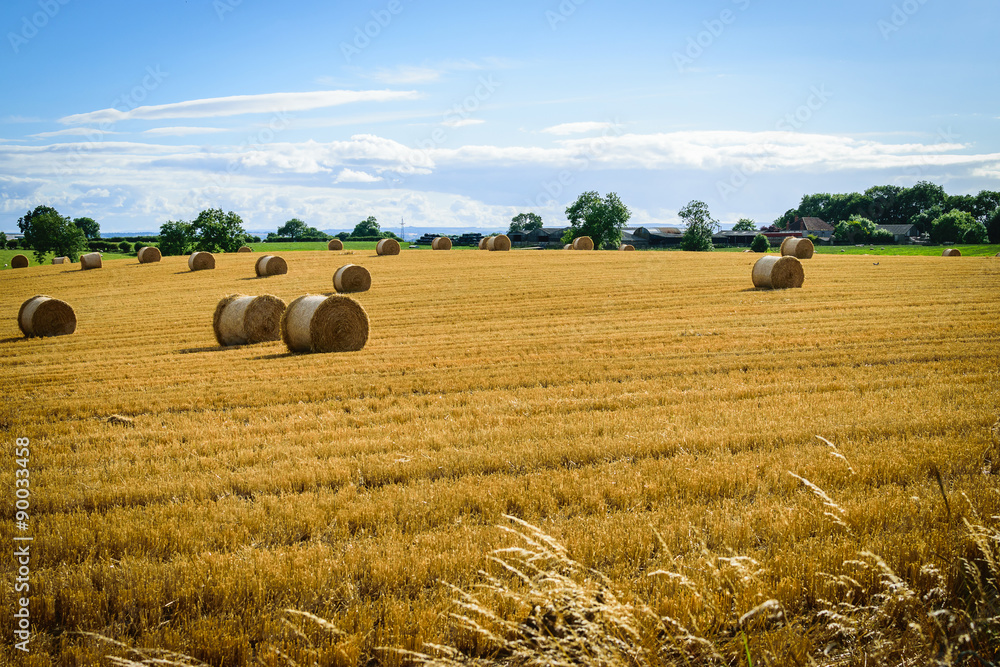 Straw bales in a field with blue and white sky in autumn