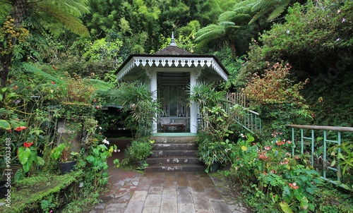 Fotografija jardin de la maison folio à Hell Bourg, 974