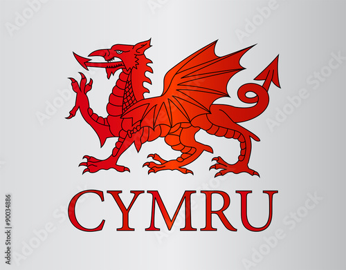 Symbol of Wales / CYMRU - vector illustration