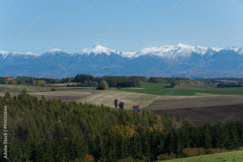 Fototapeta premium Wysoka góra pokryta śniegiem