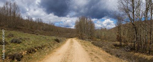 Vista panoramica de un camino de tierra en la entrada a un monte o bosque de robles