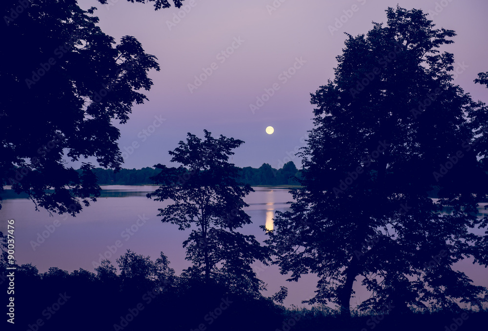 Fototapeta premium Night landscape of moon and lake. Pink, violet and black colors