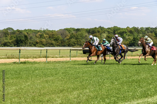 Four horsemen racing horses. Gallop