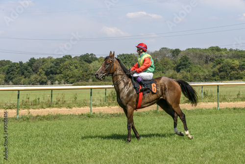 Jockey in bright clothes on bay horse