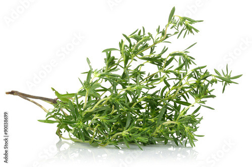 Fresh Thyme