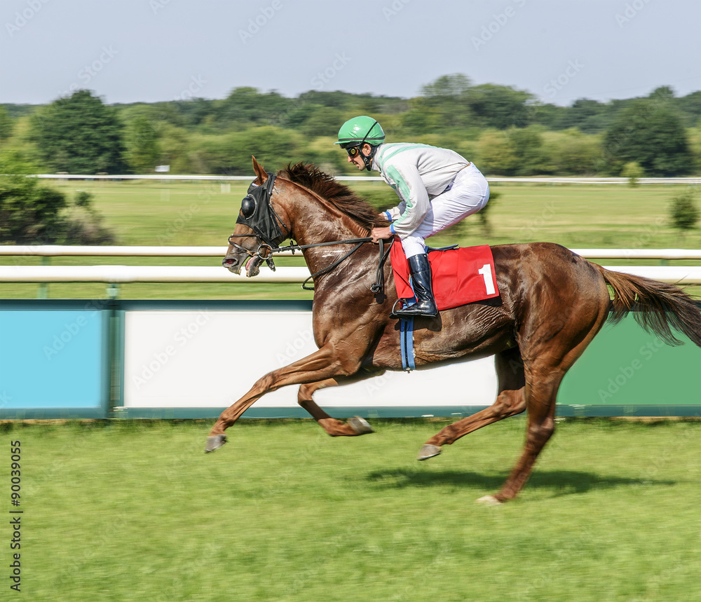 Rider on bay horse. Hippodrome in Magdeburg Germany Rider on bay horse. Hippodrome in Magdeburg Germany