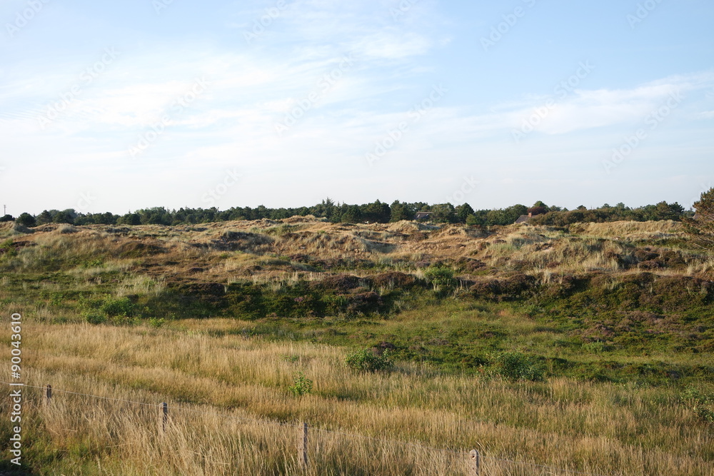 deutsche Dünenlandschaft an der Nordsee deutsche Dünenlandschaft an der Nordsee