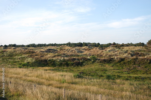 deutsche D  nenlandschaft an der Nordsee