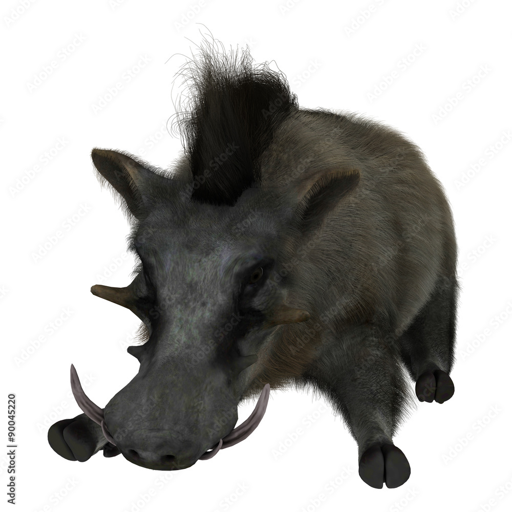 Warthog Warthog