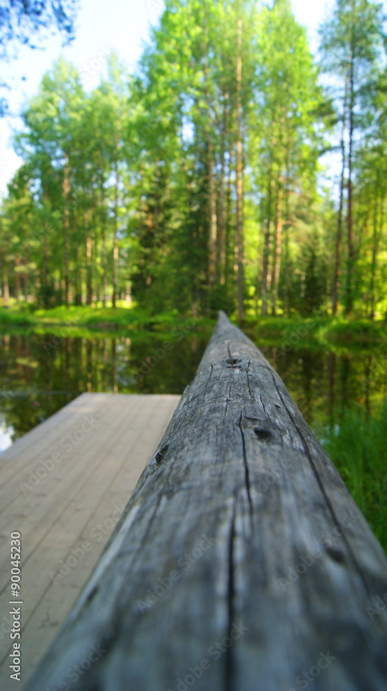 Obraz premium Пруд в музее