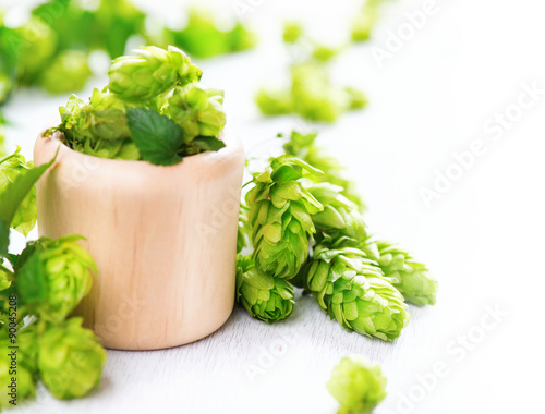 Hop in wooden bowl over white wooden table. Green whole hops with leaves closeup
