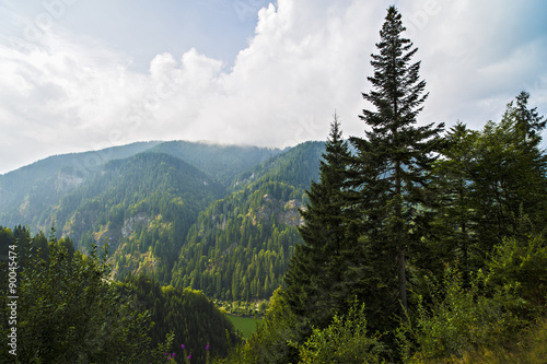 beautiful wild mountain landscape in the Carpathian Mountains  R