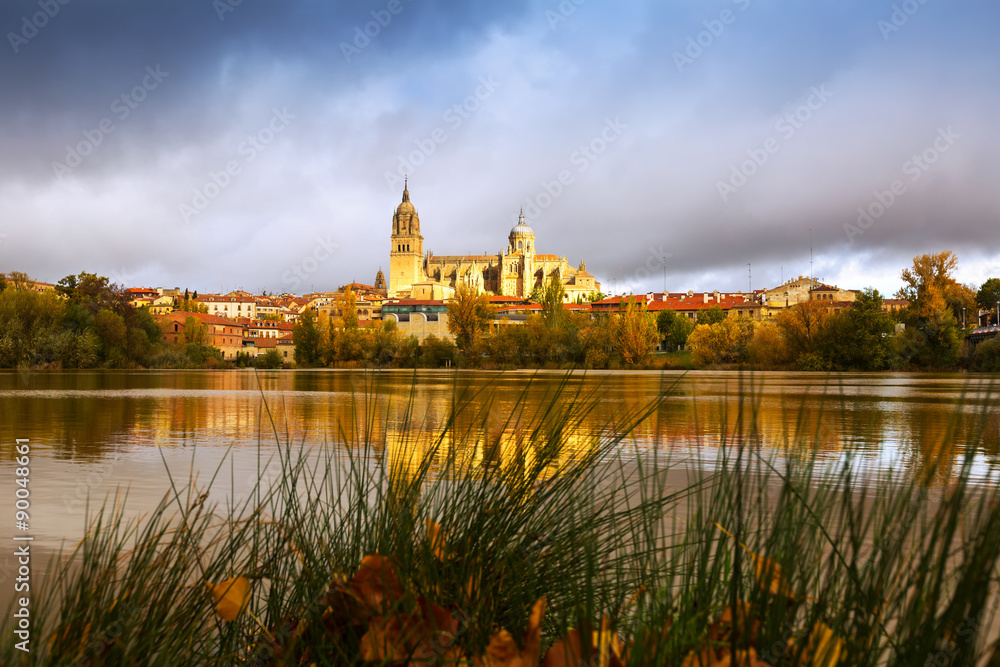  November view of Tormes River in Salamanca