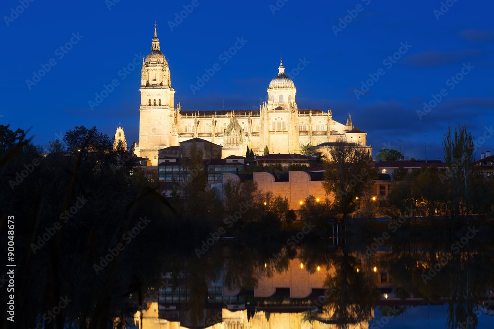Salamanca Cathedral from  River  in  nigh