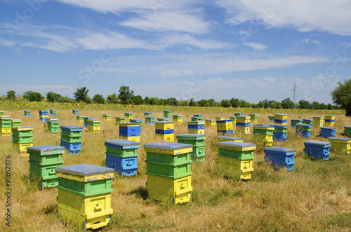 Beehives in a field in a countryside