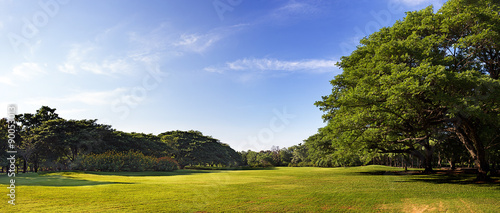 Big Garden Panorama for Background.