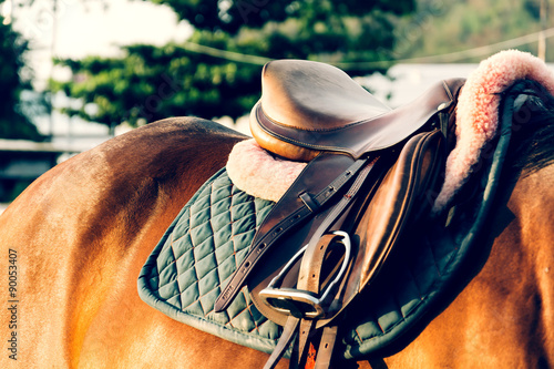 horse saddle - soft focus with film filter